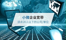 20人以下企業(yè)寬帶